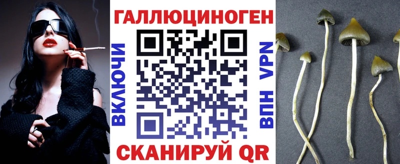 Псилоцибиновые грибы Cubensis  где продают   Королёв 